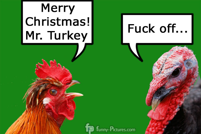 Merry Christmas Mr. Turkey